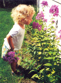 Reader's Springtime Photographs